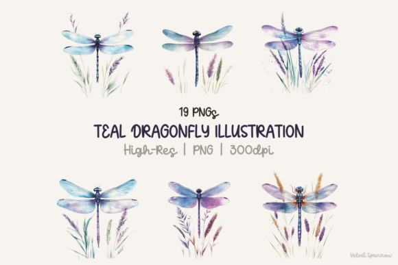 Download Teal Dragonfly Illustration 19 Png - Illustration Collection
